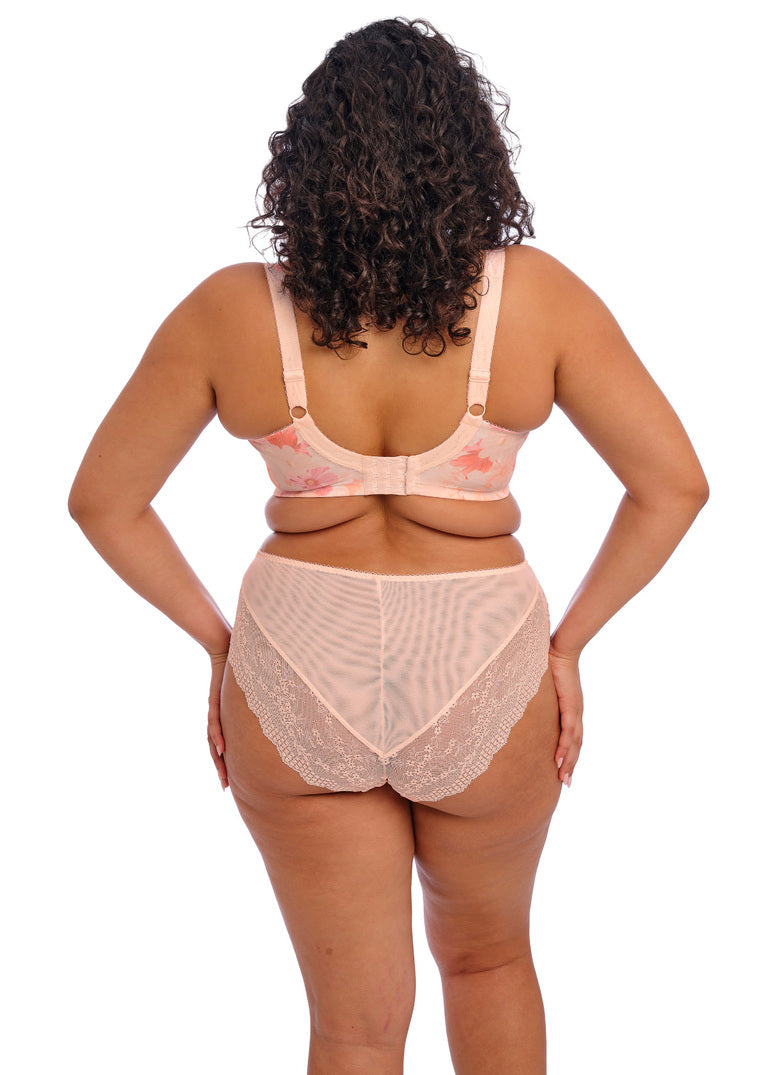 Lucie Cosmos High Leg Brief